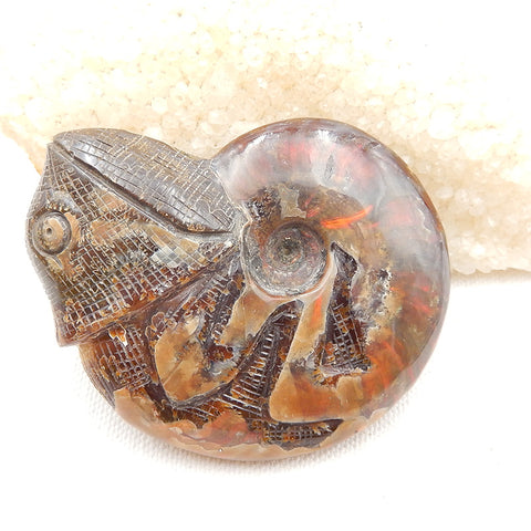 Natural Ammonite Fossil Carved chameleon