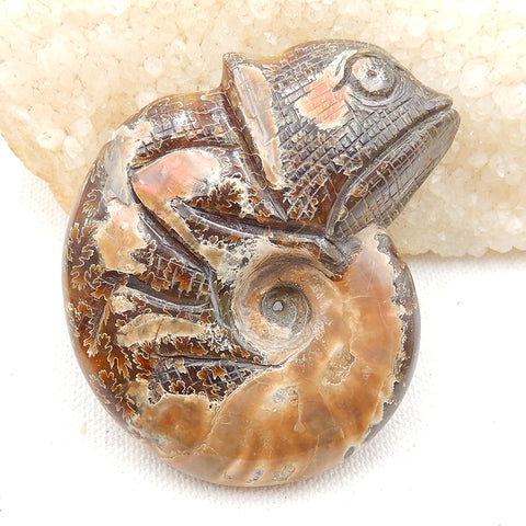 Natural Ammonite Fossil Carved chameleon