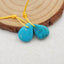 Paire de Boucles d'Oreilles en Turquoise Naturelle, 15x8x3mm, 1.0g