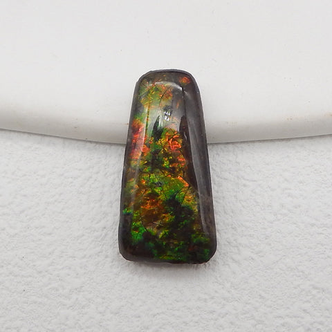 New! Natural Ammolite Gemstone Cabochon,Semi Precious Gemstones for Jewelry Making,26x13x5mm,2.8g