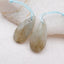 Natural Labradorite Earring Beads 29x13x5mm, 6.9g