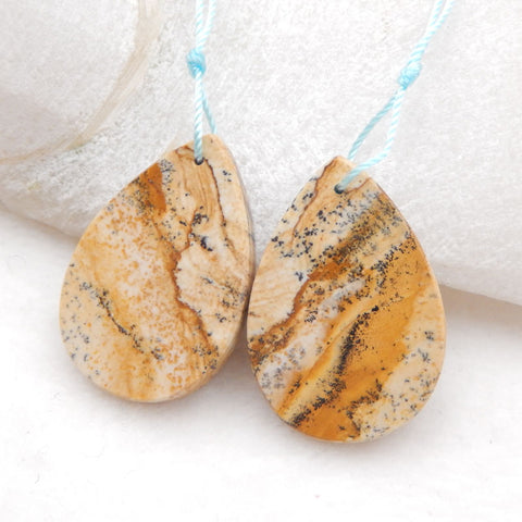 Natural Picture Jasper Earring Beads 33x23x4mm, 10.3g