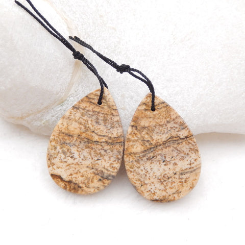 Natural Picture Jasper Earring Beads 33x23x4mm, 10.3g