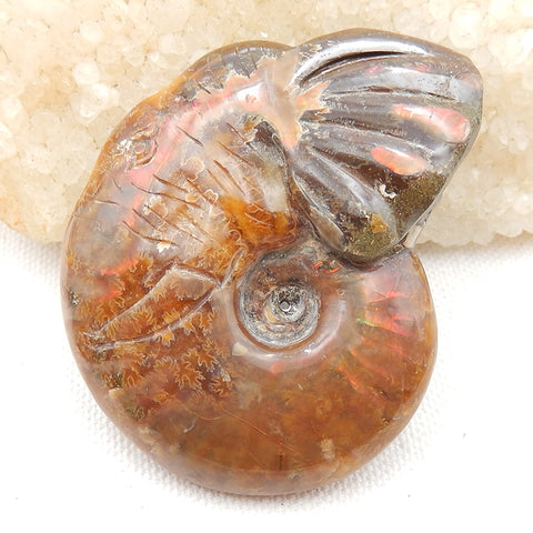 Natural Ammonite Fossil Carved elephant