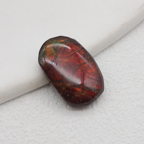 New! Natural Ammolite Gemstone Cabochon,Semi Precious Gemstones for Jewelry Making,22x14x5mm,2.9g