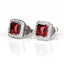 5x5mm Garnet & Diamond Earrings 18-Carat Platinum 2.2g