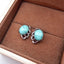 Natural Turquoise Earrings with 925 Silver Accessory