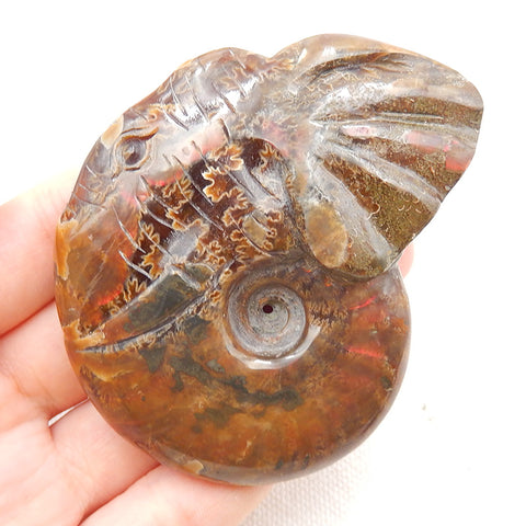 Natural Ammonite Fossil Carved elephant