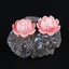 BITEFU 1Pair Pink Conch Shell (Made Of Powder Of Shell, Color Is Enhanced ) Lotus Flower, 5.6g