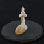 New Miniature Deer Figurine,Agate Gemstone Hand Carved Deer Statues Supply,Gemstone Home Decor,56x44x16mm,26.2g