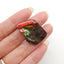 New! Natural Ammolite Gemstone Cabochon,Semi Precious Gemstones for Jewelry Making,29x21x6mm,5.8g