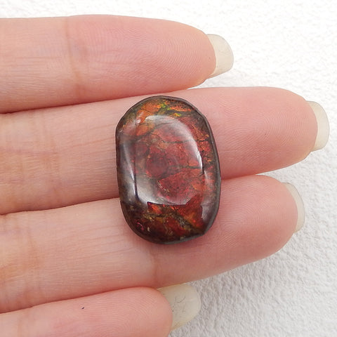 New! Natural Ammolite Gemstone Cabochon,Semi Precious Gemstones for Jewelry Making,22x14x5mm,2.9g