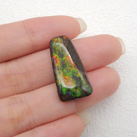 New! Natural Ammolite Gemstone Cabochon,Semi Precious Gemstones for Jewelry Making,26x13x5mm,2.8g