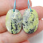 Natural Serpentine Earring Beads 25x17x5mm, 7.4g