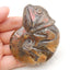 Natural Ammonite Fossil Carved chameleon