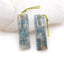 Natural Ocean Jasper Earring Beads 38x11x4mm, 6.6g