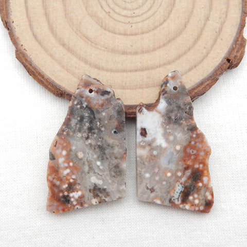 Natural Ocean Jasper Earring Beads 36x19x3mm, 8.1g