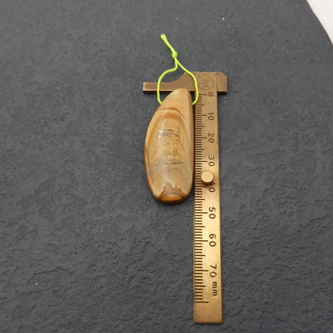 Picture Jasper 吊坠珠，48x19x7mm，11.2g