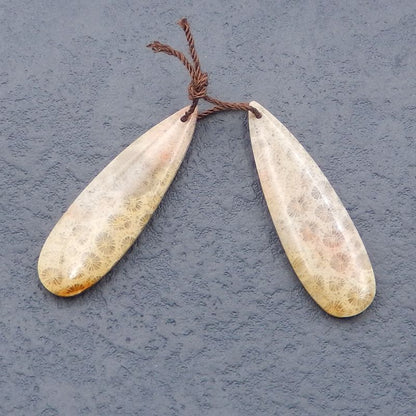 Paire de boucles d'oreilles en forme de larme de corail fossile indonésien naturel, pierre pour la fabrication de boucles d'oreilles, 40x12x4mm, 5.8g