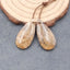 Paire de boucles d'oreilles en forme de larme fossile de palmier naturel, 30x12x5mm, 4.7g