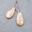 Paire de boucles d'oreilles en forme de larme fossile de palmier naturel, 30x12x5mm, 4.7g