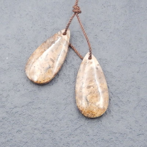 Paire de boucles d'oreilles en forme de larme fossile de palmier naturel, 30x12x5mm, 4.7g