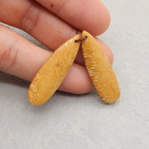 Natural Coconut Fossil Earring Beads 40*11*4mm, 4.9g