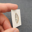 Natural Ghost Quartz Cabochon 24x10x6mm, 2.4g