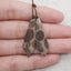 New Natural Crinoid Fossil Gemstone Earrings Beads, 39x12x3mm, 4.4g