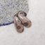 New Natural Crinoid Fossil Gemstone Earrings Bead, 30x13x4mm, 4.4g