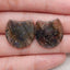 Natural Flash Labradorite Gemstone Earrings, Gemstone Earring Pair, 21×21×4mm, 5.9g