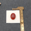 Cabochon en pierre précieuse d'agate rouge naturelle, 20x15x6mm, 3.2g