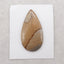 1 PC Natural  Picasso Jasper Cabochon,51x27x5mm,9.7g