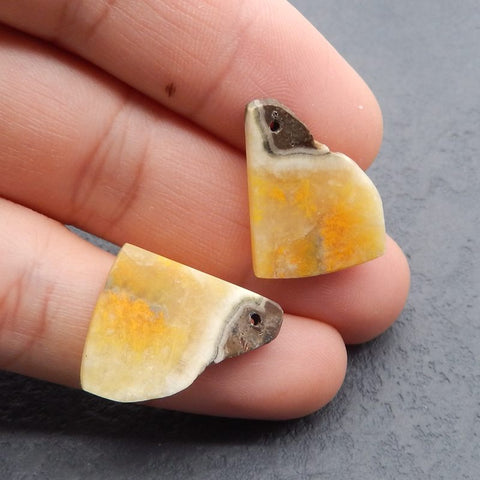 Natural Bumblebee Jasper Earring Beads 24*18*3mm, 4.8g