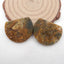 Natural Ocean Jasper Earring Beads 24x30x3mm, 8.5g