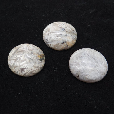 3 PCS Natural Bamboo Agate Cabochons 32x32x8mm, 14.7g