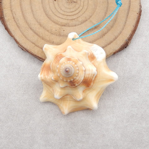 Natural Stone Shell Gemstone Pendant Bead,Unique Pendant for Jewelry DIY Making,36x34x19mm,8.7g