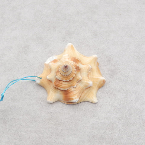 Natural Stone Shell Gemstone Pendant Bead,Unique Pendant for Jewelry DIY Making,36x34x19mm,8.7g