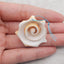 Natural Stone Shell Gemstone Pendant Bead,Unique Pendant for Jewelry DIY Making,36x34x19mm,8.7g