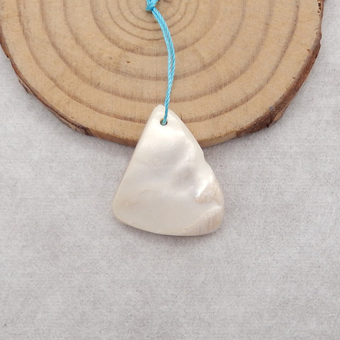 Natural Stone Shell Gemstone Pendant Bead,Unique Pendant for Jewelry DIY Making,24x20x4mm,3.5g