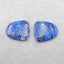 Natural Lapis Lazuli Earring Beads 21*18*3mm, 4.7g