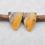 Natural Bumblebee Jasper Earring Beads 25*19*3mm, 6.9g