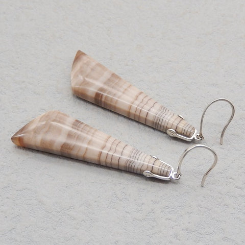 Natural Wood Fossil Earrings with 925 Sterling Silver 45*12*6mm, 8.6g