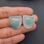 New 1 Pair Natural Amazonite Gemstone Earring Beads, Gem Jewelry Gift, Customized Gemstone Earring Pair, 18×20×3mm, 5.5g