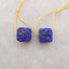 New Carved Natural Lapis Lazuli Flower Square Gemstone Earring Beads, Popular Earring Pair For DIY Making, 15x14x14mm, 12.2g