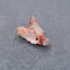 Natural Crazy Lace Agate Carved wolf head Pendant Bead 23*16*8mm, 3.5g