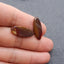 Natural Mookaite Jasper Earring Beads 25*10*2mm, 2.2g