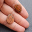 Natural Red Creek Jasper Earring Beads 20*15*5mm, 4.4g