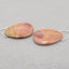 Natural Red Creek Jasper Earring Beads 35*19*5mm, 11.3g