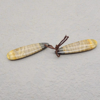 Bumble Bee Stone Teardrop Earrings 石对制作耳环，37x12x7mm，6.2g